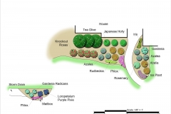 Layout1