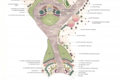 Stone-Rendered-Master-Plan