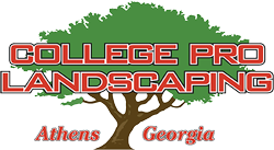 College Pro Landscaping